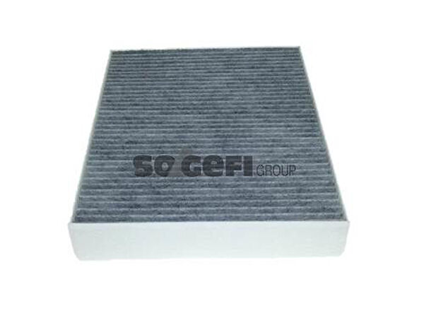 Purflux Polen Filtreleri