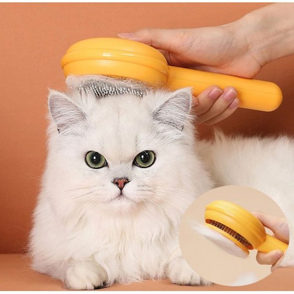 Atalier Coco Kedi Tarak, Fırça, Makas
