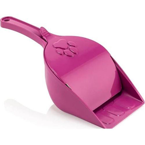 Pazarita Kedi Tuvaleti, Aksesuarları