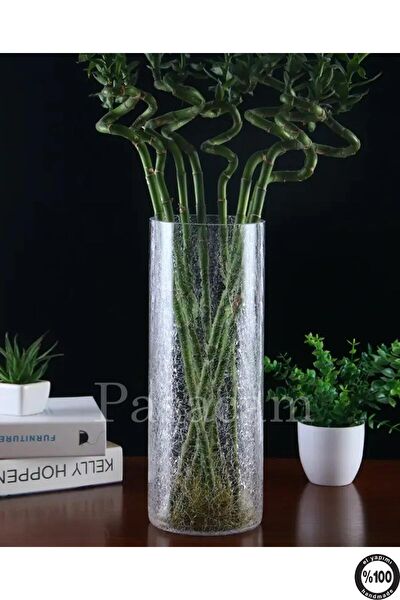 Paşabahçe Vazo, Saksı