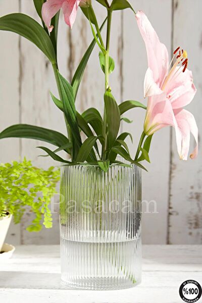 Paşabahçe Vazo, Saksı