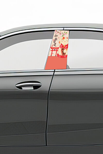 Pi Dekorasyon Oto Uygulama Ürünleri ve Setleri