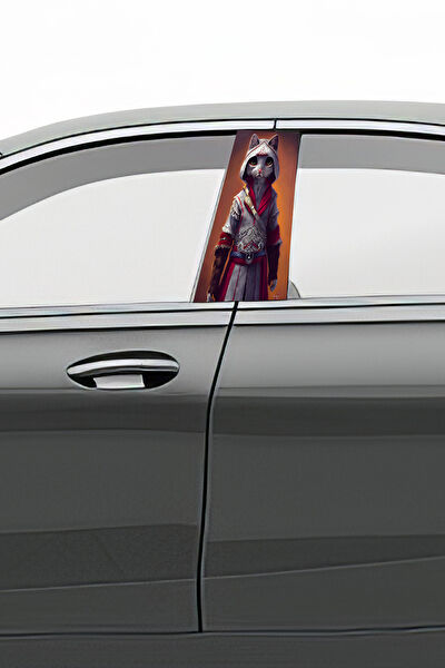 Pi Dekorasyon Oto Uygulama Ürünleri ve Setleri