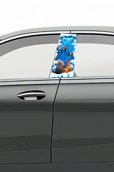 Pi Dekorasyon Oto Uygulama Ürünleri ve Setleri