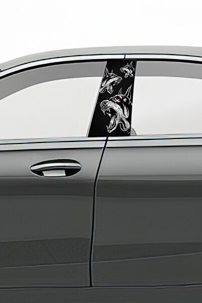 Pi Dekorasyon Oto Uygulama Ürünleri ve Setleri