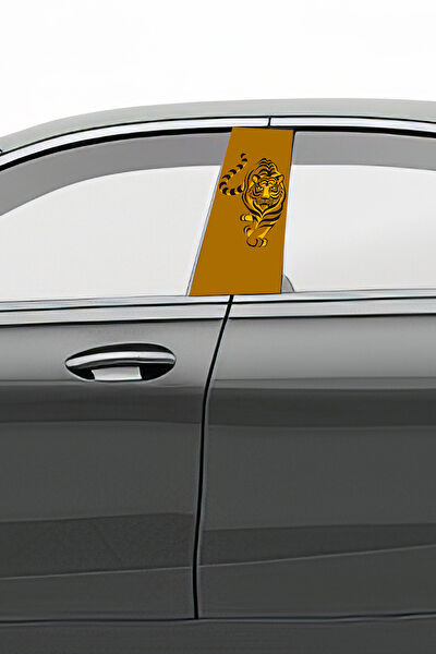 Pi Dekorasyon Oto Uygulama Ürünleri ve Setleri