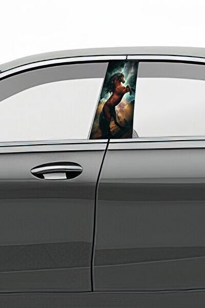 Pi Dekorasyon Oto Uygulama Ürünleri ve Setleri