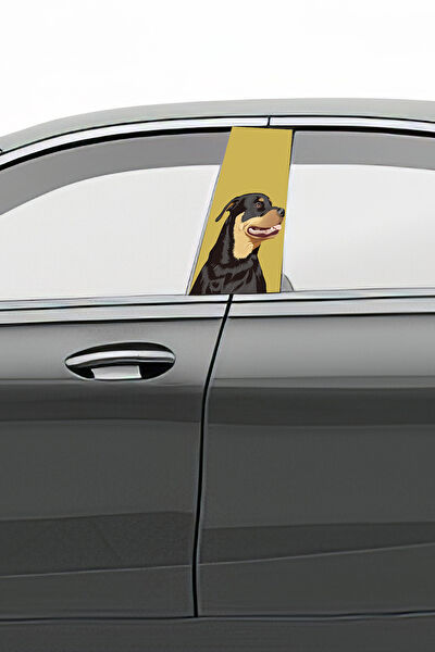 Pi Dekorasyon Dekoratif Sticker