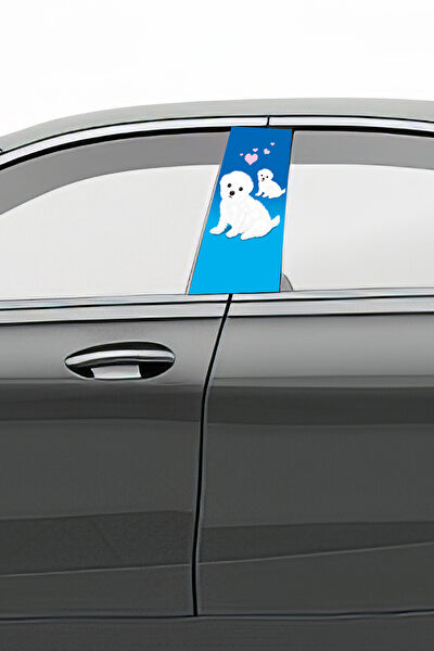 Pi Dekorasyon Oto Uygulama Ürünleri ve Setleri