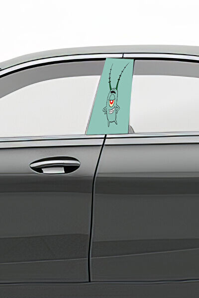 Pi Dekorasyon Oto Uygulama Ürünleri ve Setleri