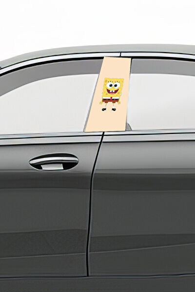 Pi Dekorasyon Dekoratif Sticker