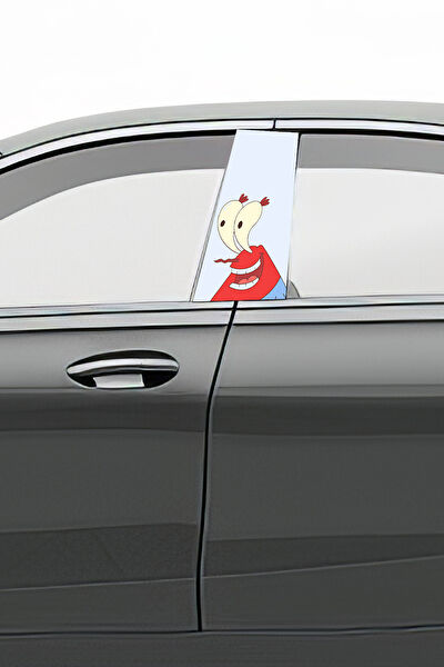 Pi Dekorasyon Oto Uygulama Ürünleri ve Setleri