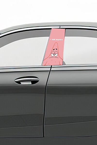 Pi Dekorasyon Oto Uygulama Ürünleri ve Setleri