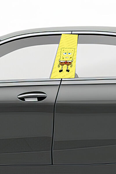 Pi Dekorasyon Dekoratif Sticker