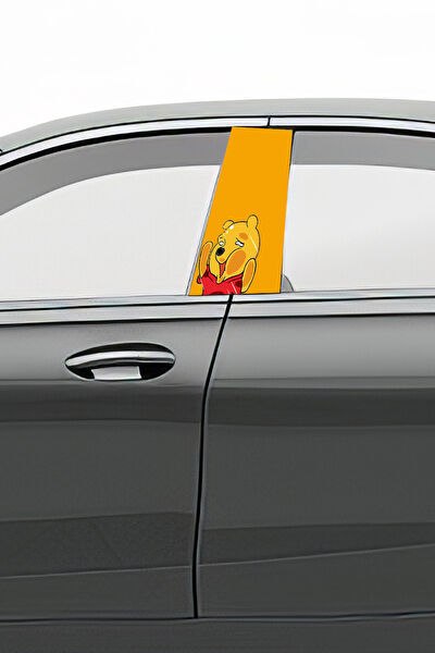 Pi Dekorasyon Oto Uygulama Ürünleri ve Setleri