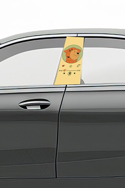 Pi Dekorasyon Oto Uygulama Ürünleri ve Setleri