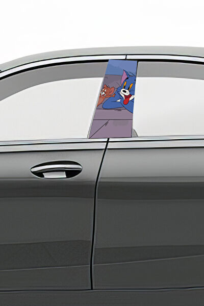 Pi Dekorasyon Oto Uygulama Ürünleri ve Setleri