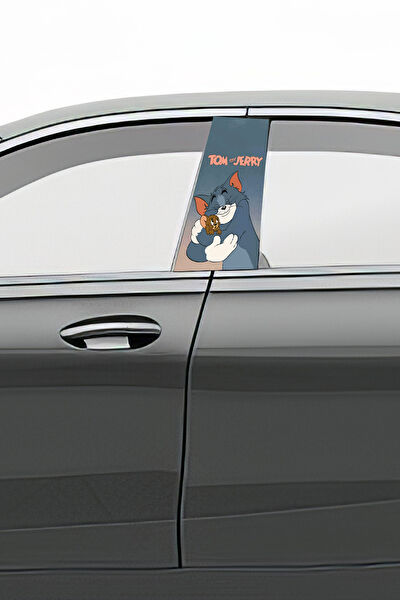 Pi Dekorasyon Oto Uygulama Ürünleri ve Setleri