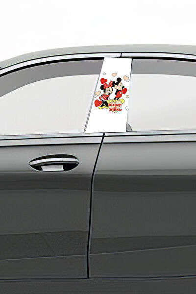 Pi Dekorasyon Oto Uygulama Ürünleri ve Setleri