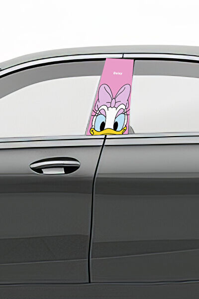 Pi Dekorasyon Oto Uygulama Ürünleri ve Setleri