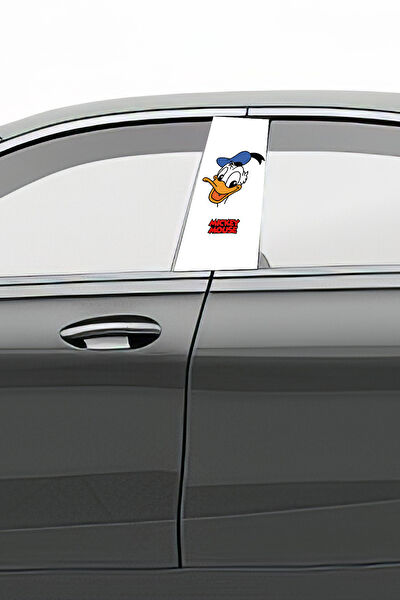 Pi Dekorasyon Oto Uygulama Ürünleri ve Setleri