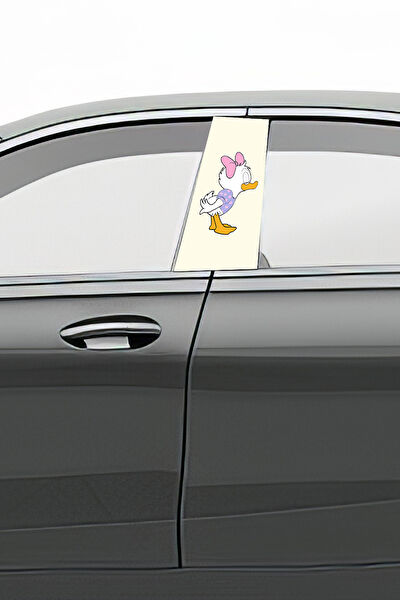 Pi Dekorasyon Oto Uygulama Ürünleri ve Setleri