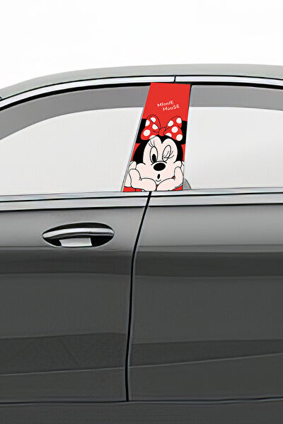 Pi Dekorasyon Dekoratif Sticker