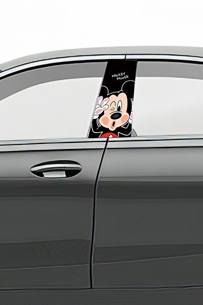 Pi Dekorasyon Oto Uygulama Ürünleri ve Setleri