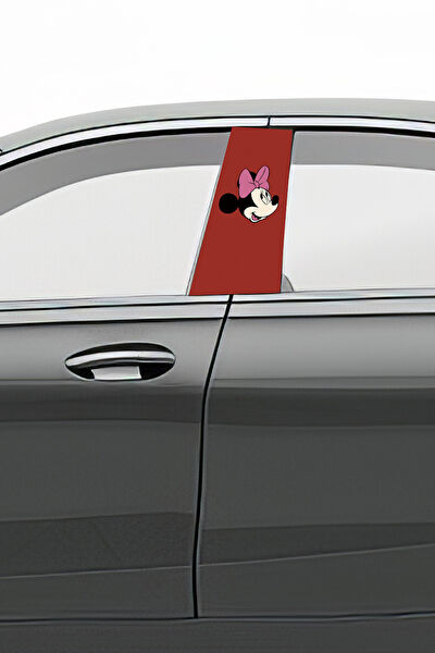 Pi Dekorasyon Arma Sticker