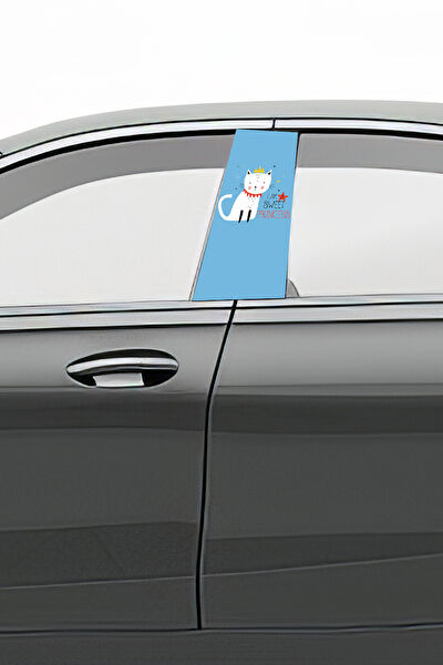 Pi Dekorasyon Arma Sticker