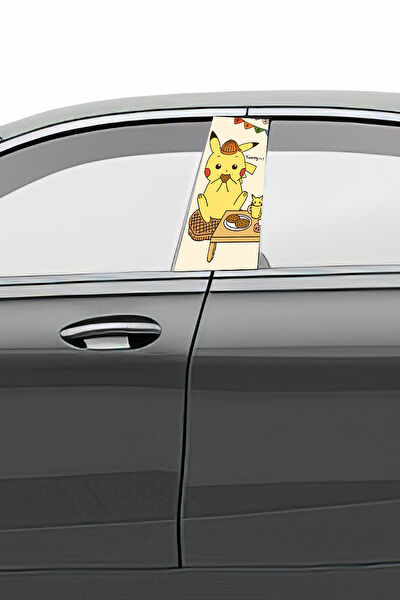 Pi Dekorasyon Oto Uygulama Ürünleri ve Setleri