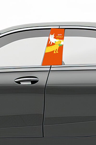 Pi Dekorasyon Oto Uygulama Ürünleri ve Setleri