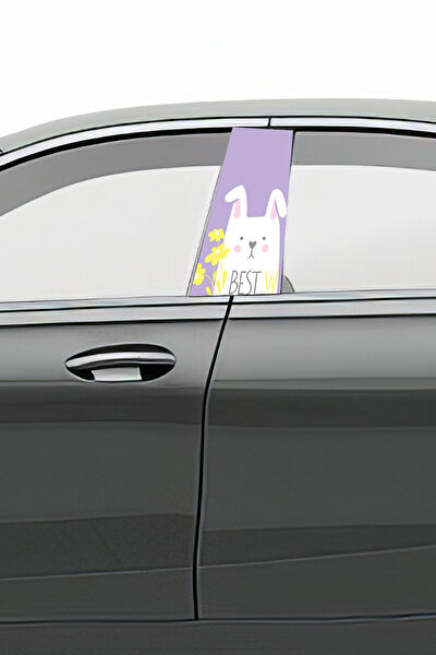 Pi Dekorasyon Oto Uygulama Ürünleri ve Setleri