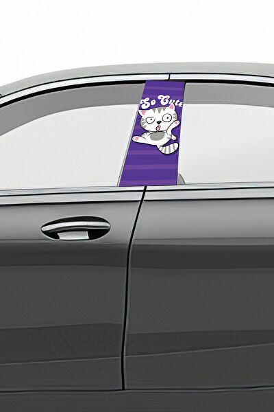 Pi Dekorasyon Oto Uygulama Ürünleri ve Setleri