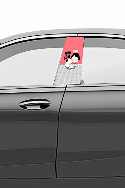 Pi Dekorasyon Oto Uygulama Ürünleri ve Setleri