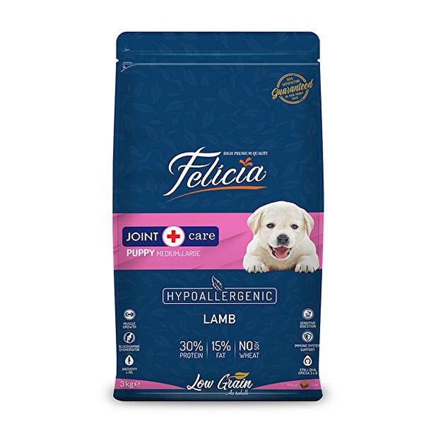 Felicia Köpek Maması