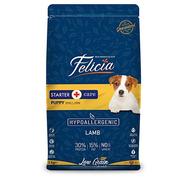Felicia Köpek Maması