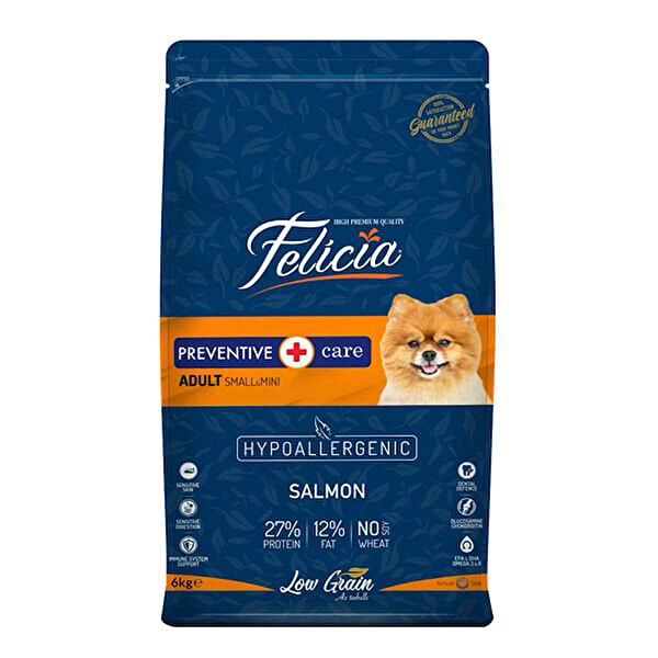 Felicia Köpek Maması