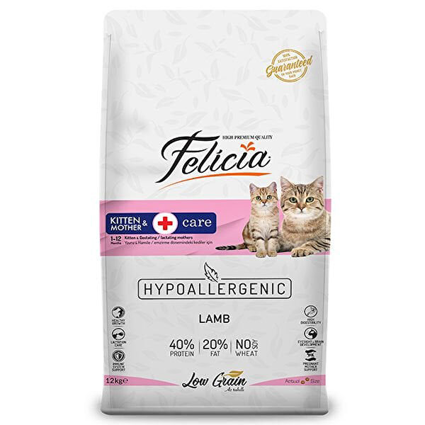 Felicia Kedi Maması