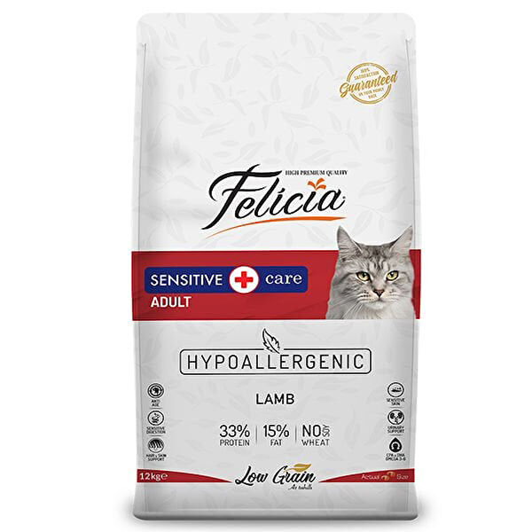 Felicia Kedi Maması