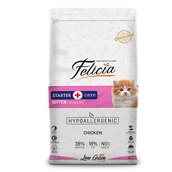 Felicia Kedi Maması