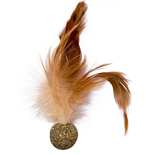 Eastland Kedi Oyuncakları