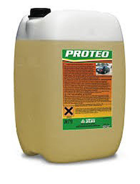 STARKLIPS Oto Yıkama Şampuan