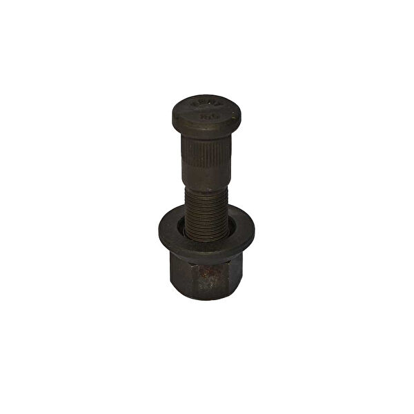 WOLFRAM Park Ampulü