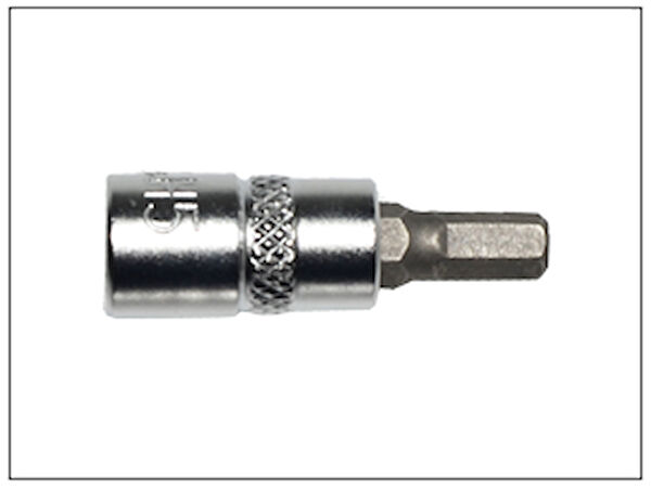 STARKLIPS Alyan, Lokma Takımı