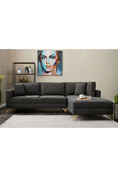 Rabi Mobilya L Koltuk