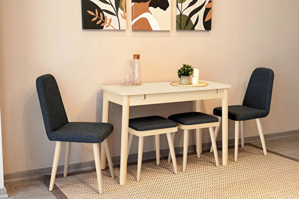 Rabi Mobilya Mutfak Masa Takımı