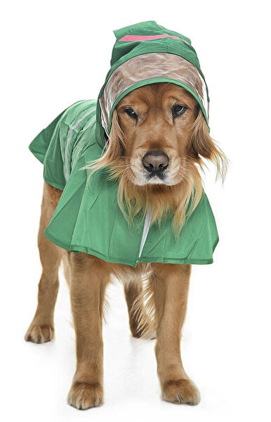 Petza Köpek Elbisesi