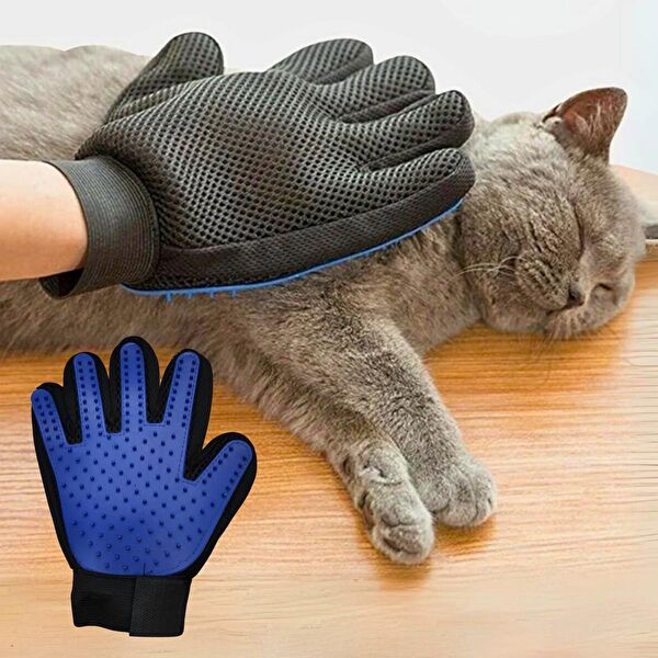 RoyalFarmVet Kedi Oyuncakları