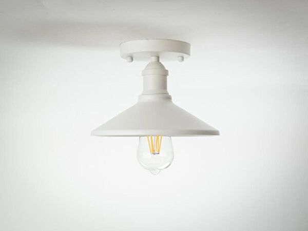 Riolight Avize, Sarkıt